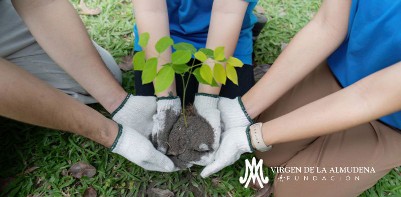 CUIDADO Y SOSTENIBILIDAD