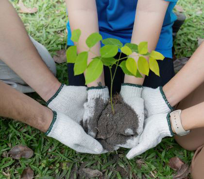CUIDADO Y SOSTENIBILIDAD